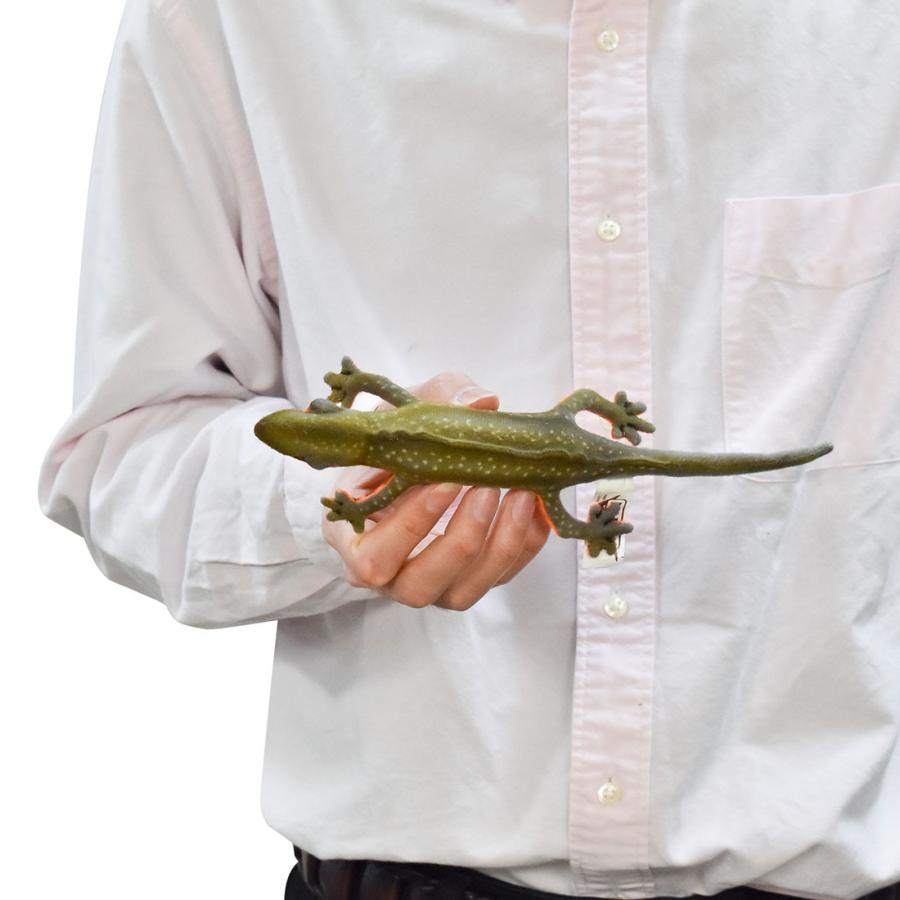 BH8141 アカハライモリ HANSA　あかはらいもり 井守 ぬいぐるみ リアル | HANSA（ぬいぐるみ） | 06