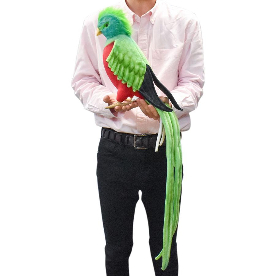 BH8143 ケツァール HANSA　けつぁーる とり トリ 鳥 ぬいぐるみ リアル | HANSA（ぬいぐるみ） | 08