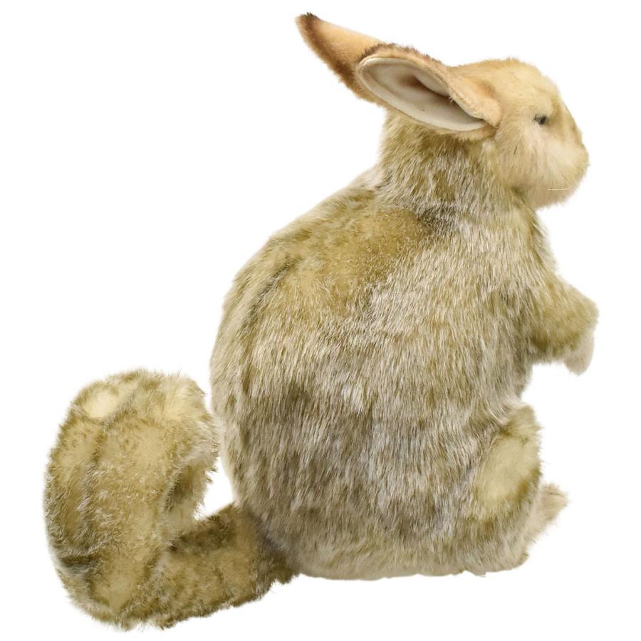 【中古】 ちびざるうっきー ３/集英社/すどうかなみ Shigeru Kawai 【 SK-3 】大人気モデルがついに登場！ ｜ 世界