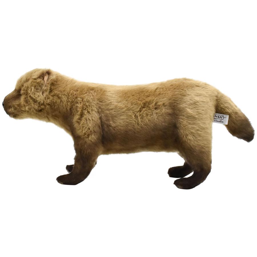 BH8146 ヤブイヌ HANSA　やぶいぬ ぬいぐるみ リアル | HANSA（ぬいぐるみ） | 01