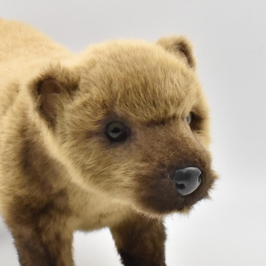 BH8146 ヤブイヌ HANSA　やぶいぬ ぬいぐるみ リアル | HANSA（ぬいぐるみ） | 03