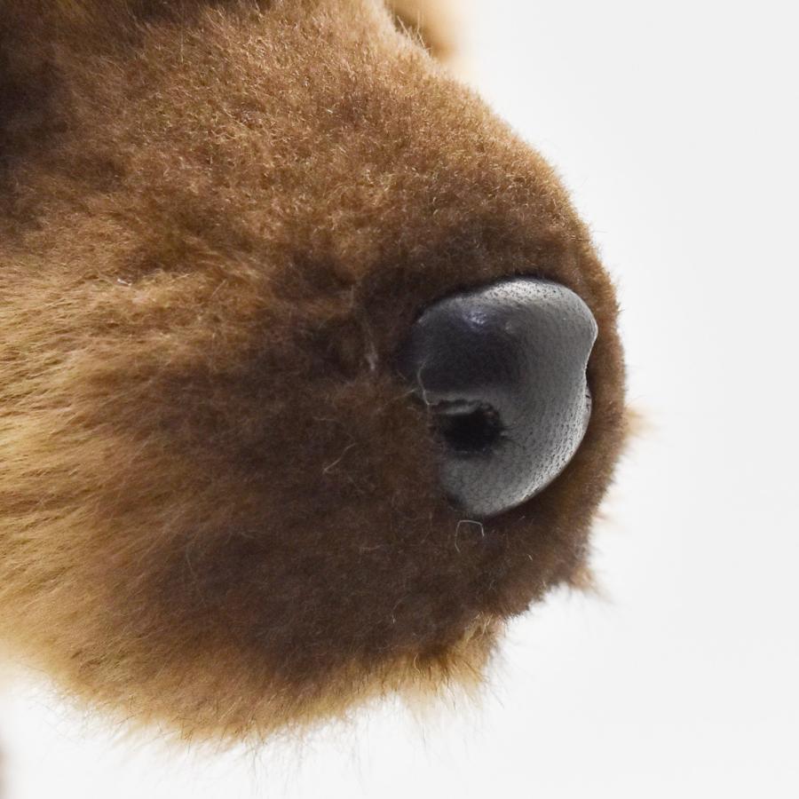 BH8146 ヤブイヌ HANSA　やぶいぬ ぬいぐるみ リアル | HANSA（ぬいぐるみ） | 06