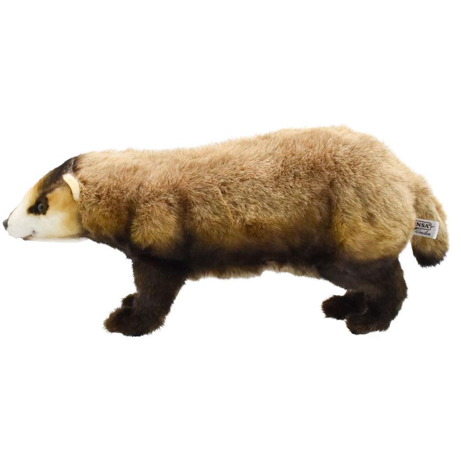 BH8148 ニホンアナグマ HANSA　あなぐま くま 穴熊 ぬいぐるみ リアル | HANSA（ぬいぐるみ） | 01