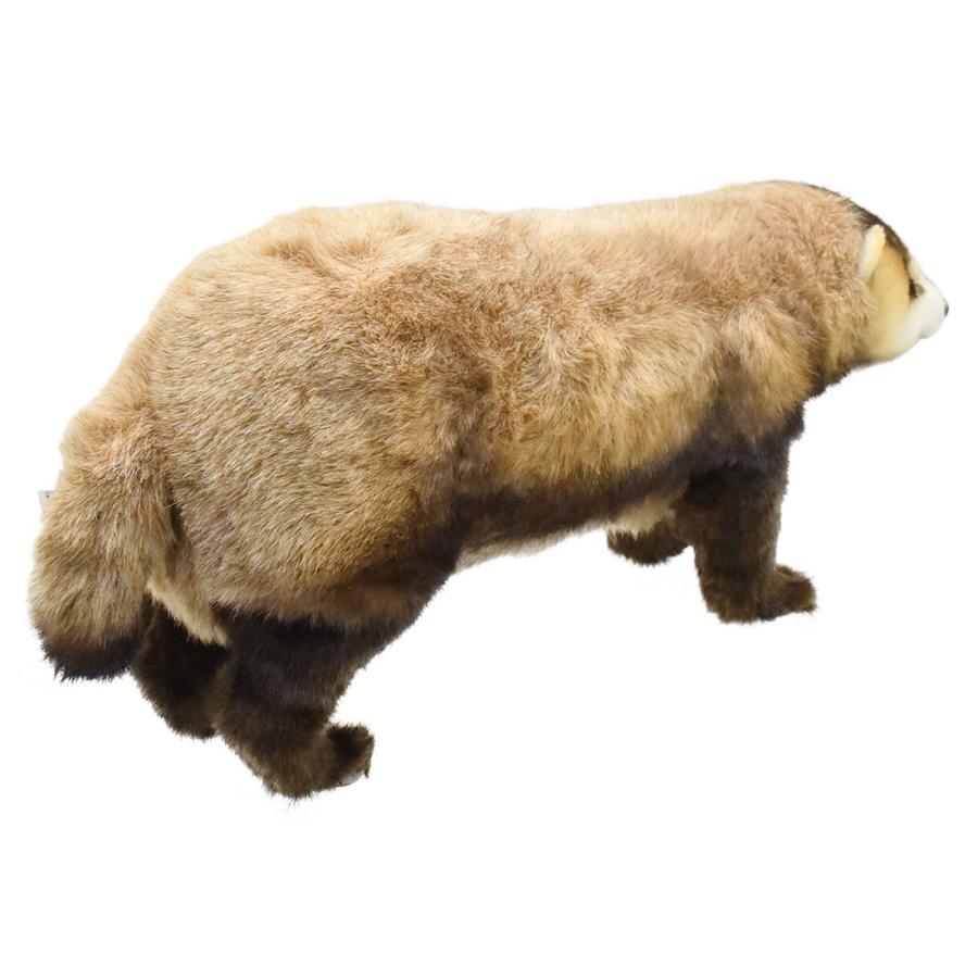 BH8148 ニホンアナグマ HANSA　あなぐま くま 穴熊 ぬいぐるみ リアル | HANSA（ぬいぐるみ） | 02