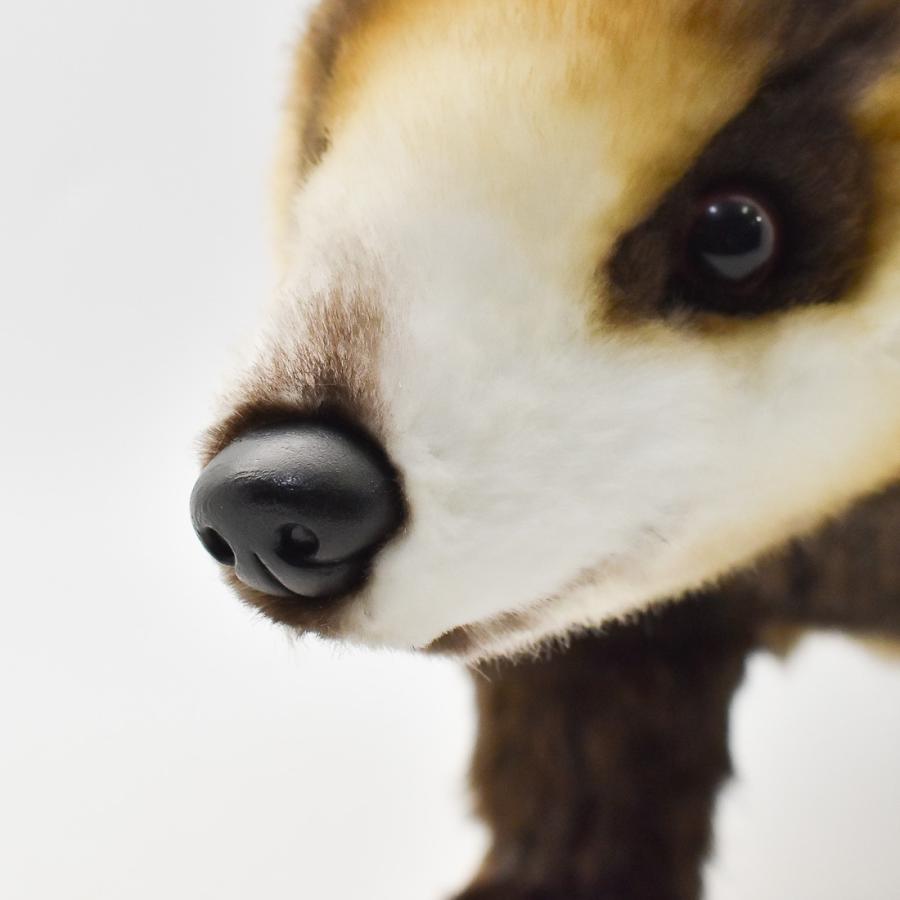 BH8148 ニホンアナグマ HANSA　あなぐま くま 穴熊 ぬいぐるみ リアル | HANSA（ぬいぐるみ） | 06