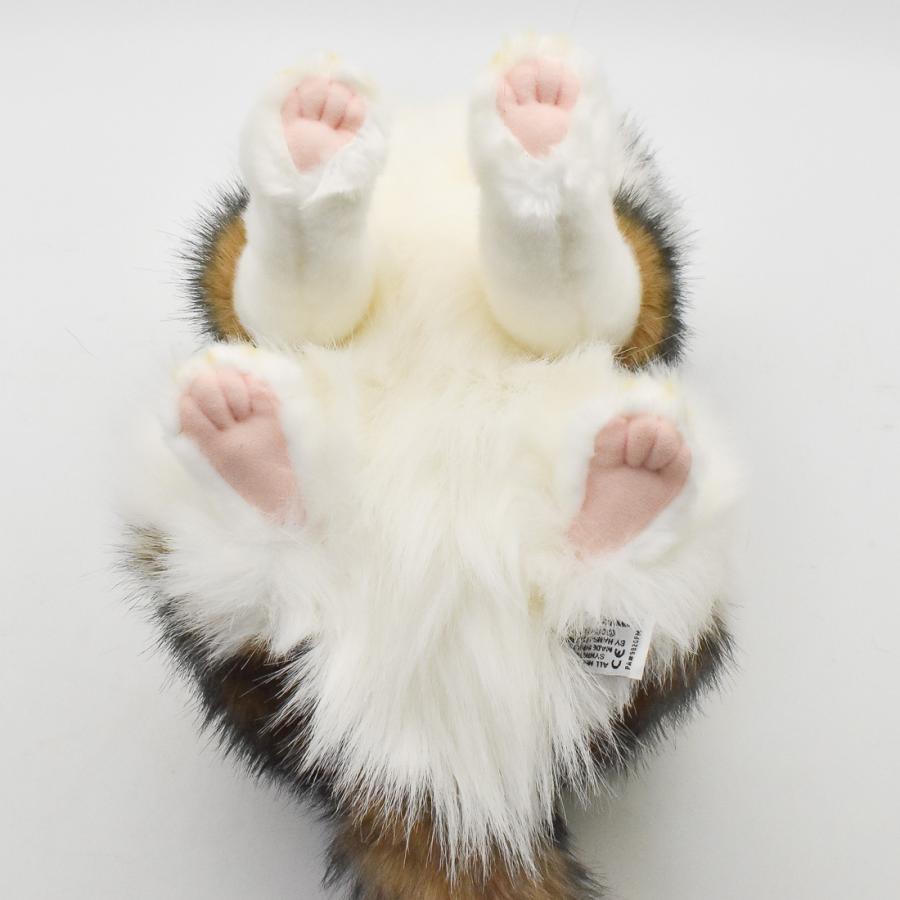 HANSA BH8154 ノルウェージャンフォレストキャット のるうぇーじゃんふ