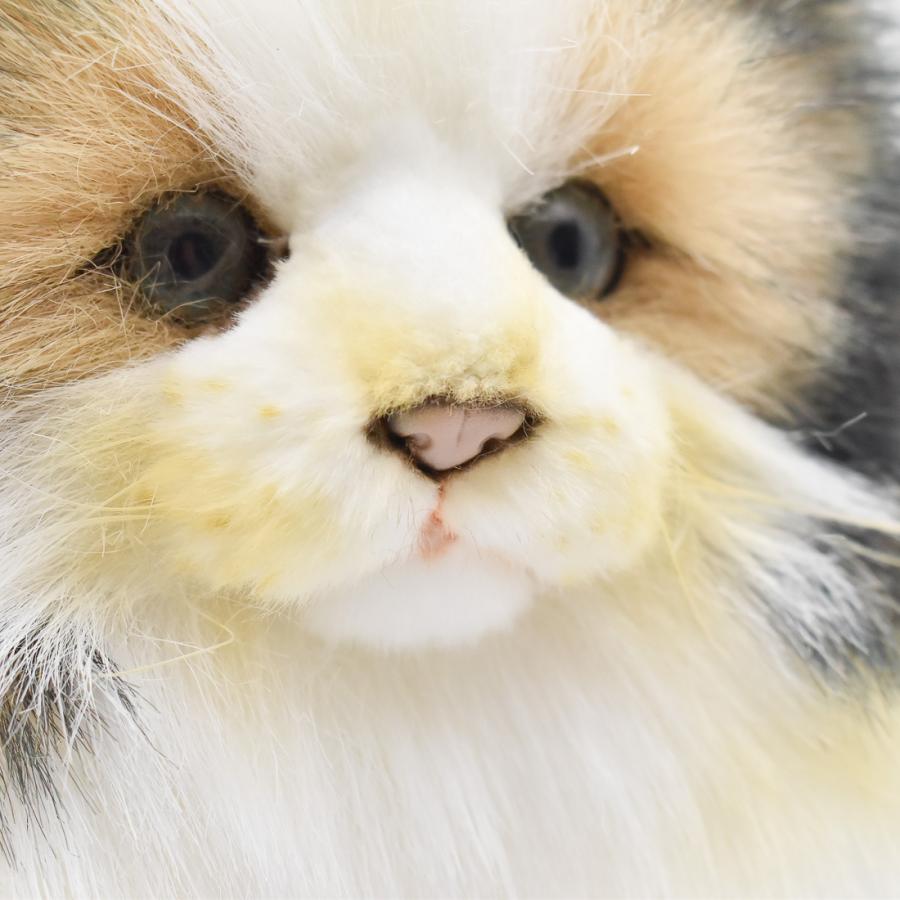 BH8154 ノルウェージャンフォレストキャット HANSA　のるうぇーじゃんふぉれすときゃっと ねこ ネコ 猫 ぬいぐるみ リアル | HANSA（ぬいぐるみ） | 06