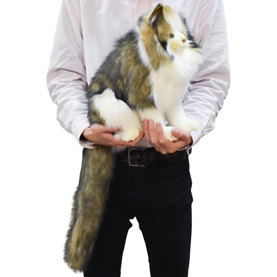 BH8154 ノルウェージャンフォレストキャット HANSA　のるうぇーじゃんふぉれすときゃっと ねこ ネコ 猫 ぬいぐるみ リアル | HANSA（ぬいぐるみ） | 07