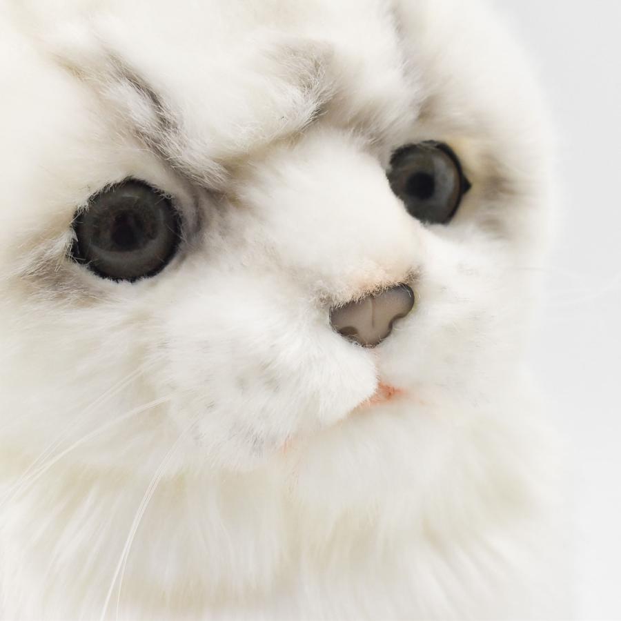 HANSA BH8155 スコティッシュフォールド グレー すこてぃっしゅふぉー