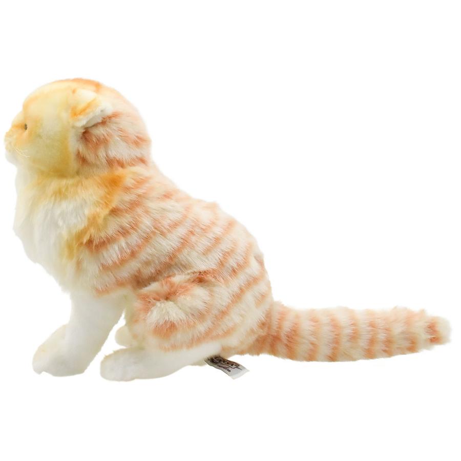 BH8156 スコティッシュフォールド ジンジャー HANSA　すこてぃっしゅふぉーるど ねこ ネコ 猫 ぬいぐるみ リアル | HANSA（ぬいぐるみ） | 01