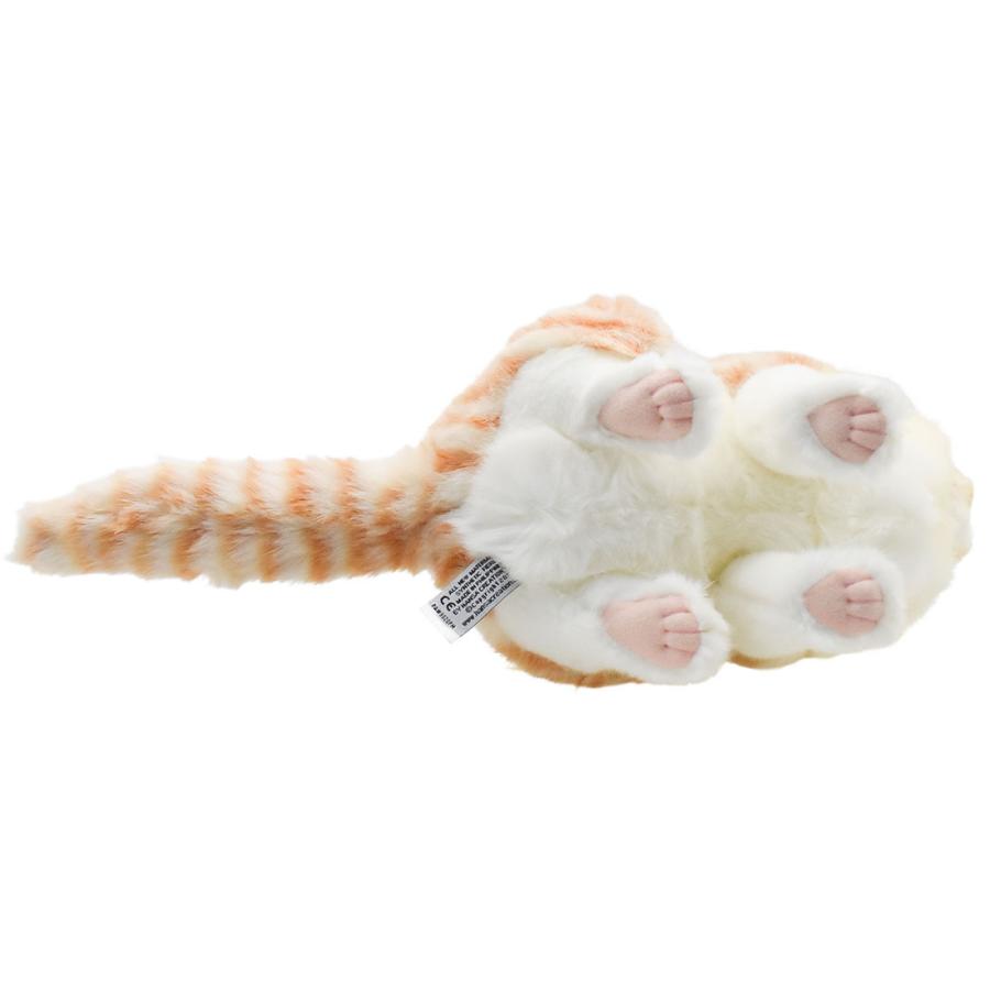 HANSA BH8156 スコティッシュフォールド ジンジャー すこてぃっしゅふ