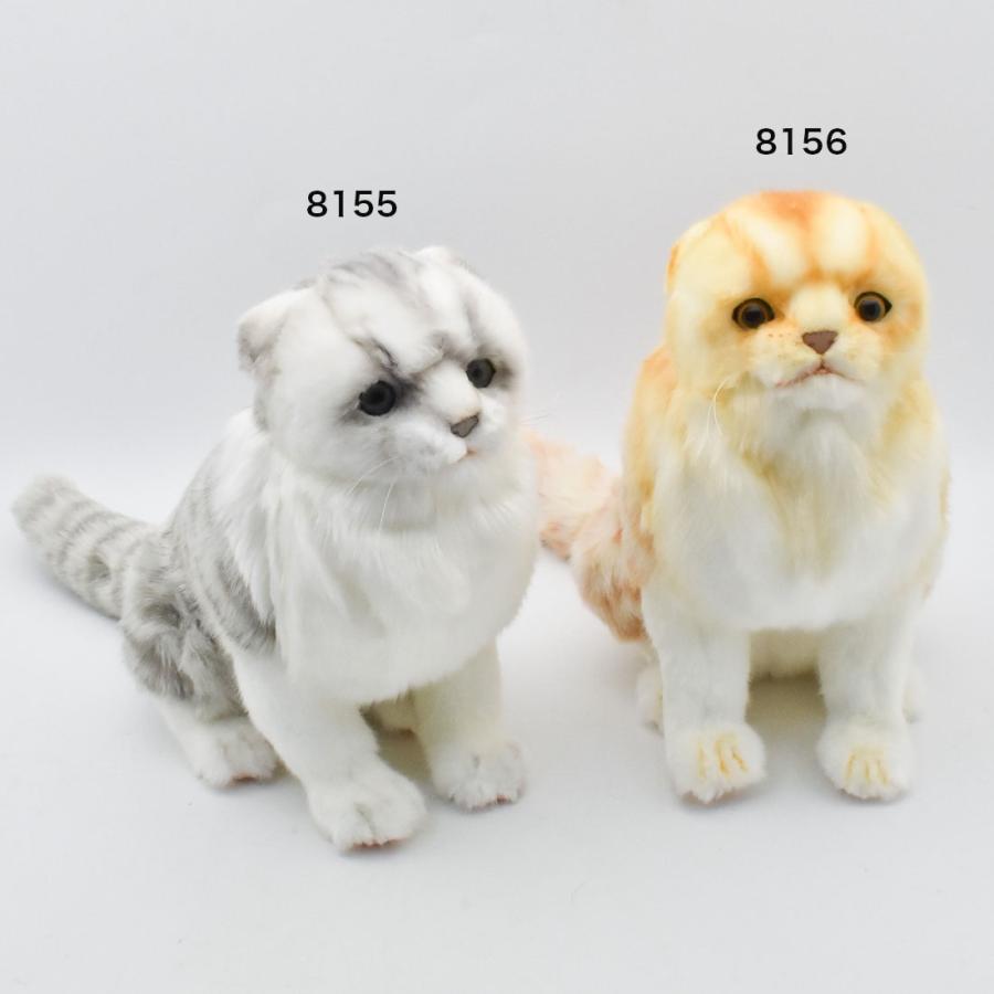 BH8156 スコティッシュフォールド ジンジャー HANSA　すこてぃっしゅふぉーるど ねこ ネコ 猫 ぬいぐるみ リアル | HANSA（ぬいぐるみ） | 08