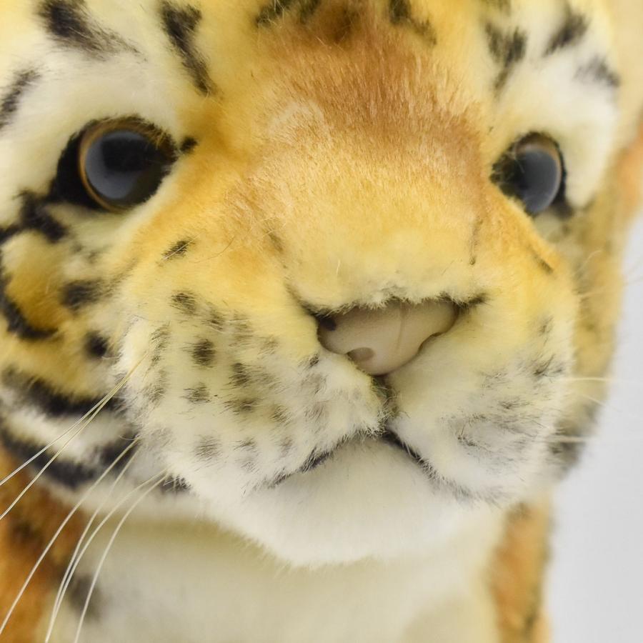 BH8169 ゴルフ ヘッドカバー ユーティリティ トラ 仔 HANSA　とら 虎 タイガー リアル | HANSA（ぬいぐるみ） | 05