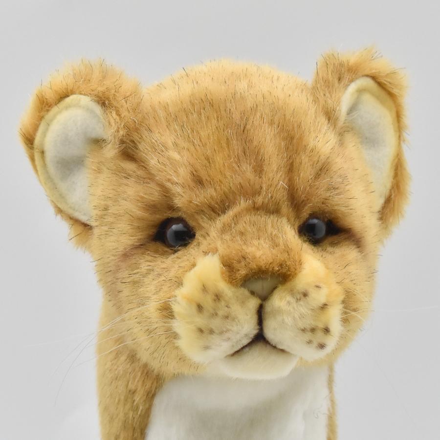 美品　LION FANGS 練習着　ウォーマー　XL 上下　ライオン ライオン(オス) 48 | HANSA