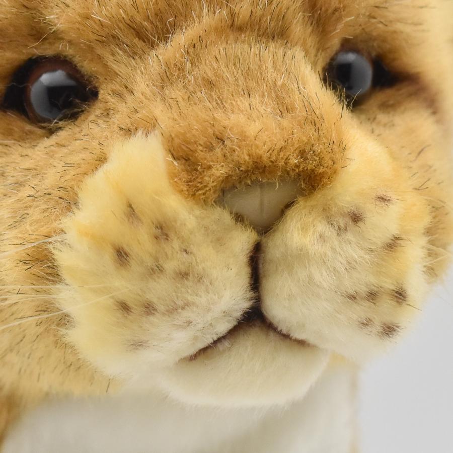 BH8176 ゴルフ ヘッドカバー ユーティリティ ライオン 仔 HANSA　らいおん リアル | HANSA（ぬいぐるみ） | 05