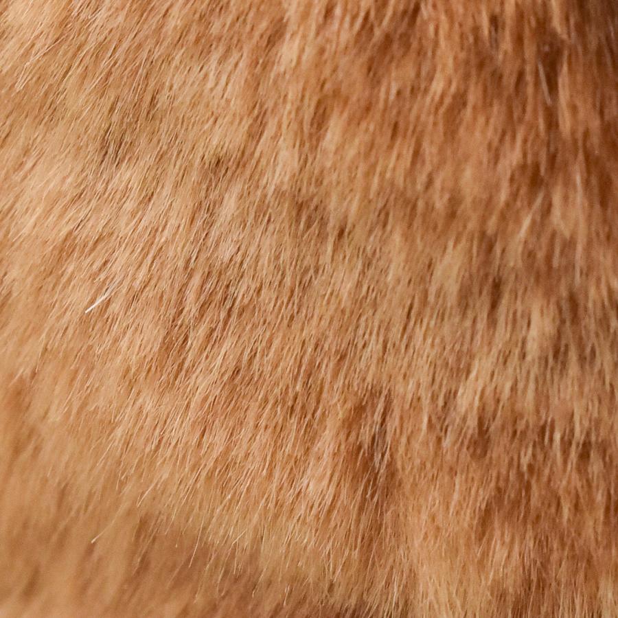 BH8181 ゴルフ ヘッドカバー フェアウェイウッド レッサーパンダ HANSA　れっさーぱんだ 小熊猫 リアル | HANSA（ぬいぐるみ） | 04