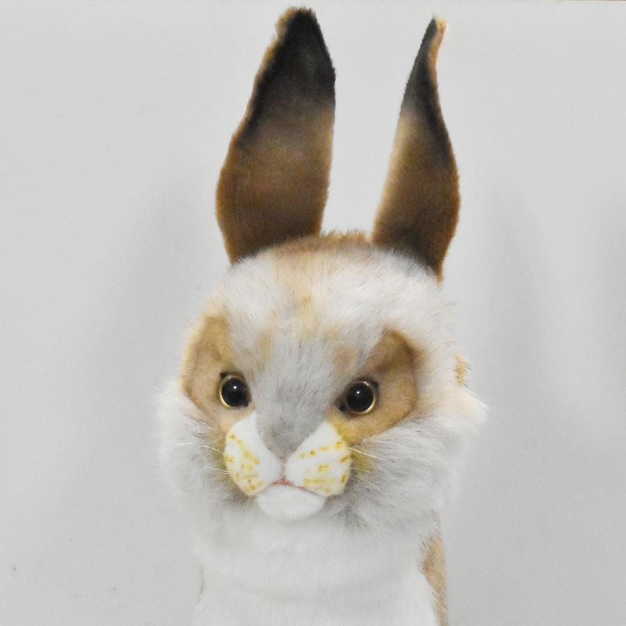 BH8186 ゴルフ ヘッドカバー ドライバー ウサギ HANSA　うさぎ 兔 リアル 爆買 母の日 | HANSA（ぬいぐるみ） | 03