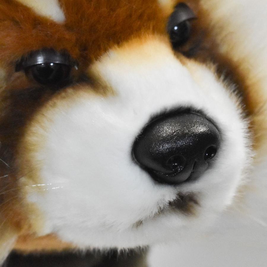 BH8187 ゴルフ ヘッドカバー ドライバー レッサーパンダ HANSA　れっさーぱんだ 小熊猫 リアル | HANSA（ぬいぐるみ） | 05