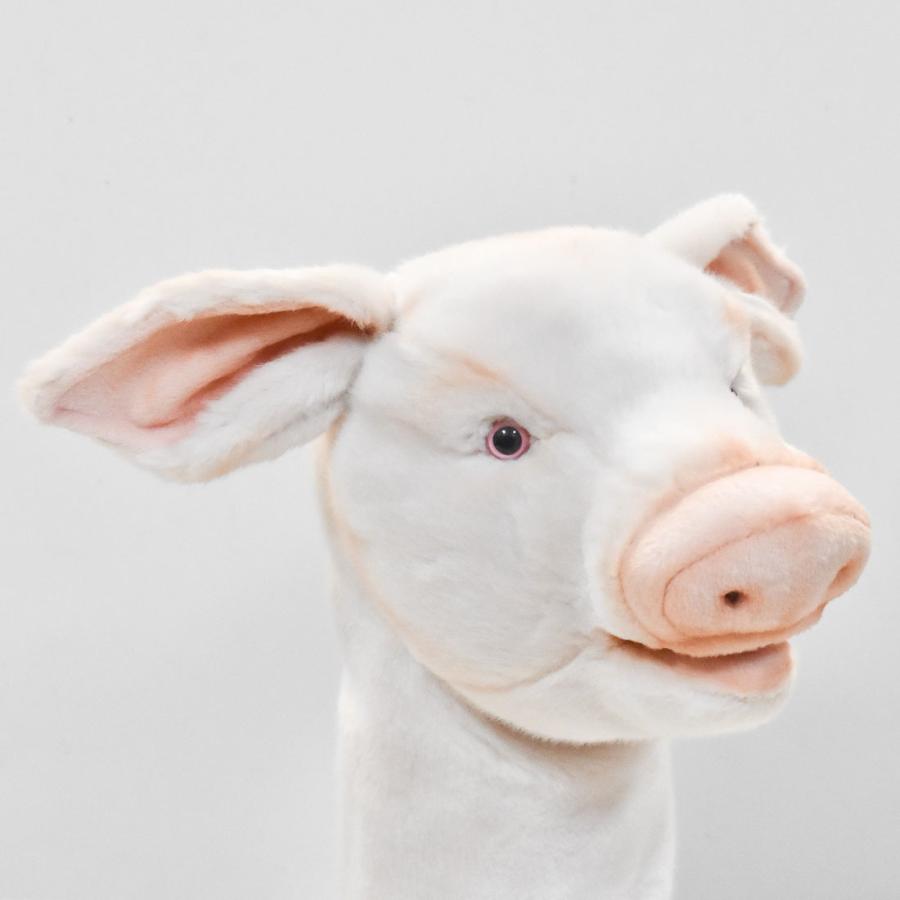 BH8191 ゴルフ ヘッドカバー ドライバー ブタ HANSA　ぶた 豚 リアル | HANSA（ぬいぐるみ） | 03