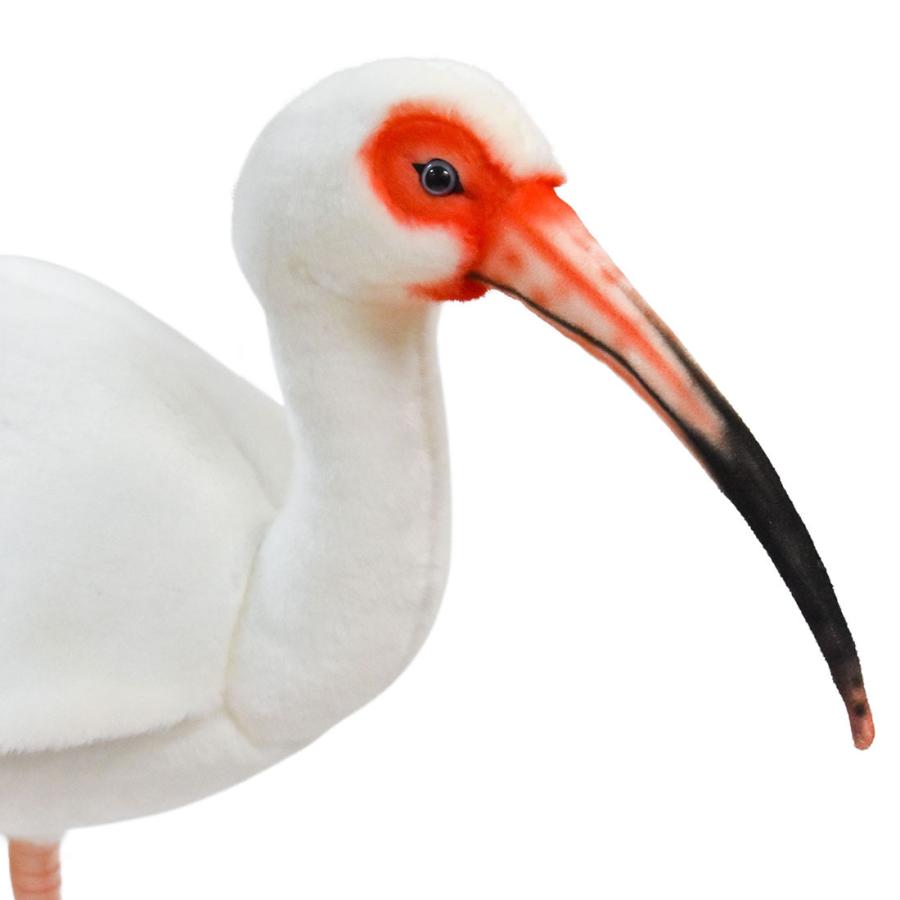 BH8192 シロトキ HANSA　しろとき とり トリ 鳥 ぬいぐるみ リアル | HANSA（ぬいぐるみ） | 03