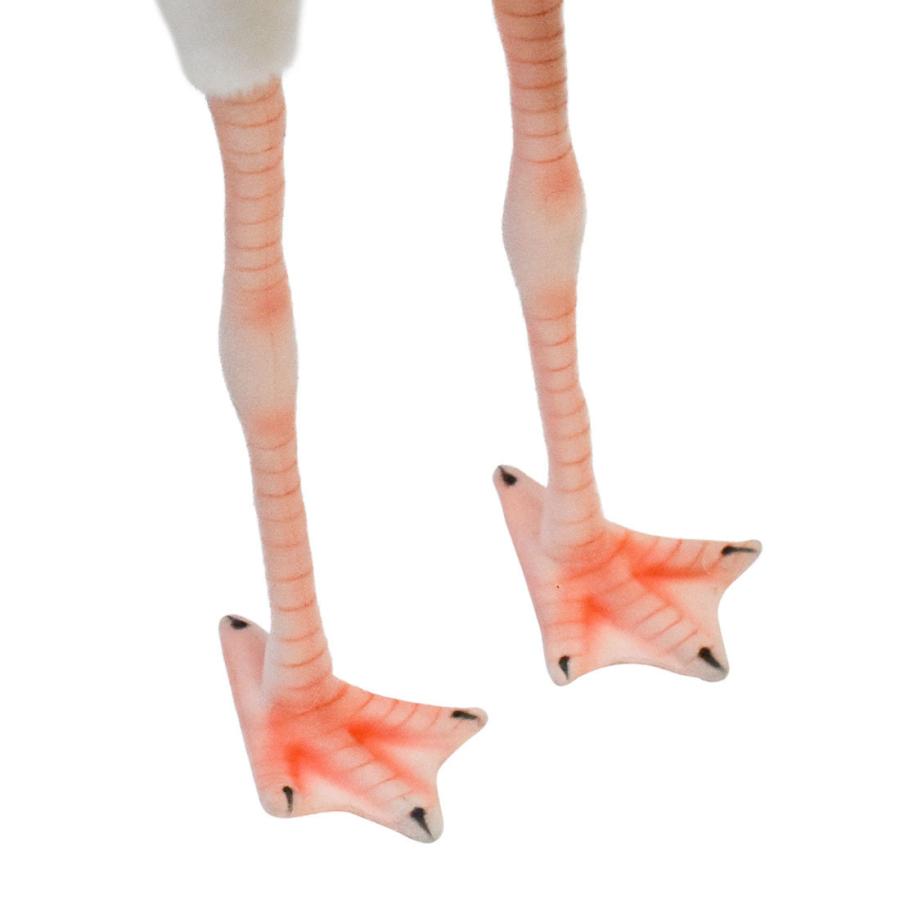 BH8192 シロトキ HANSA　しろとき とり トリ 鳥 ぬいぐるみ リアル | HANSA（ぬいぐるみ） | 05