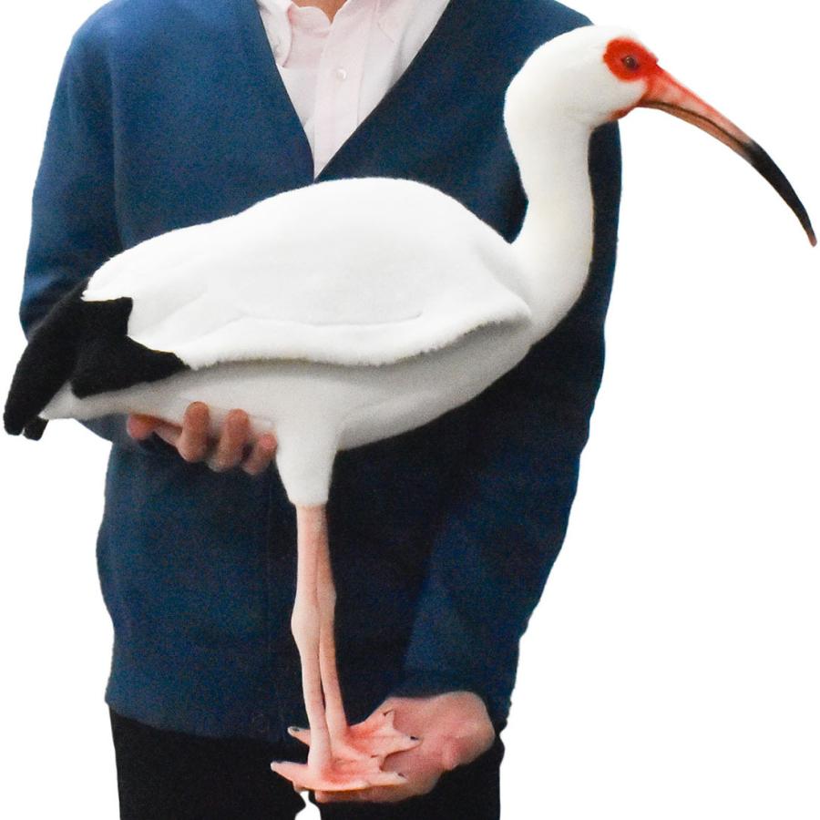 BH8192 シロトキ HANSA　しろとき とり トリ 鳥 ぬいぐるみ リアル | HANSA（ぬいぐるみ） | 07