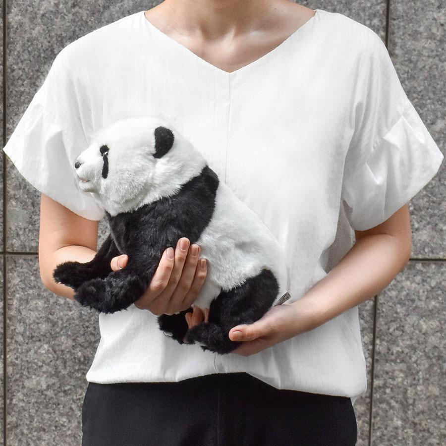 HANSA(ぬいぐるみ) BH8323 ジャイアントパンダ Taipei Zoo HANSA(ぬいぐるみ) BH8323 ジャイアントパンダ Taipei Zoo