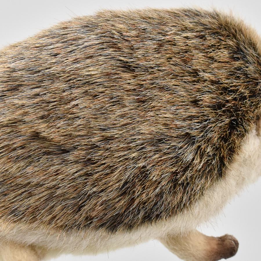 BH8355 ゴルフ ヘッドカバー パター ハリネズミ HANSA　リアル | HANSA（ぬいぐるみ） | 03