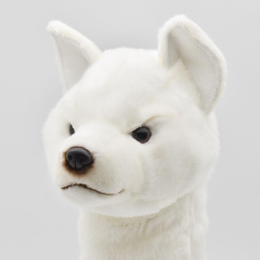 BH8358 ゴルフ ヘッドカバー ドライバー ホッカイドウケン HANSA　北海道犬 ほっかいどういぬ イヌ リアル | HANSA（ぬいぐるみ） | 03