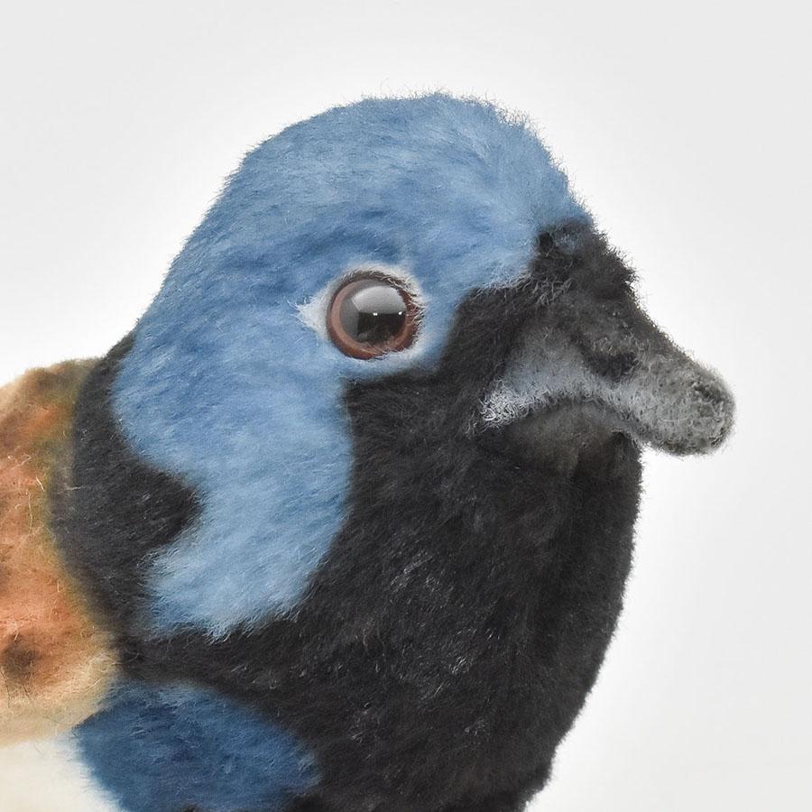 BH8410 ムナグロオーストラリアムシクイ HANSA　むなぐろおーすとらりあむしくい とり トリ 鳥 ぬいぐるみ リアル | HANSA（ぬいぐるみ） | 04