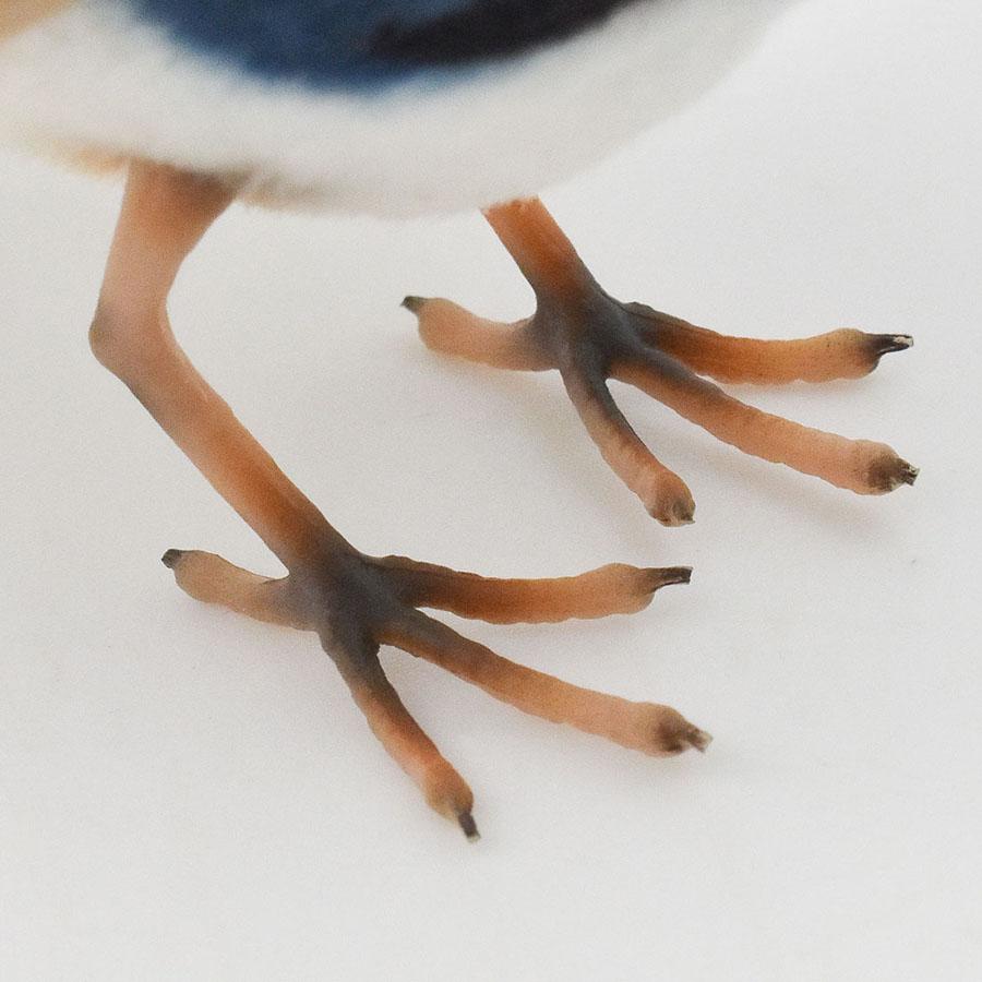 BH8410 ムナグロオーストラリアムシクイ HANSA　むなぐろおーすとらりあむしくい とり トリ 鳥 ぬいぐるみ リアル | HANSA（ぬいぐるみ） | 05