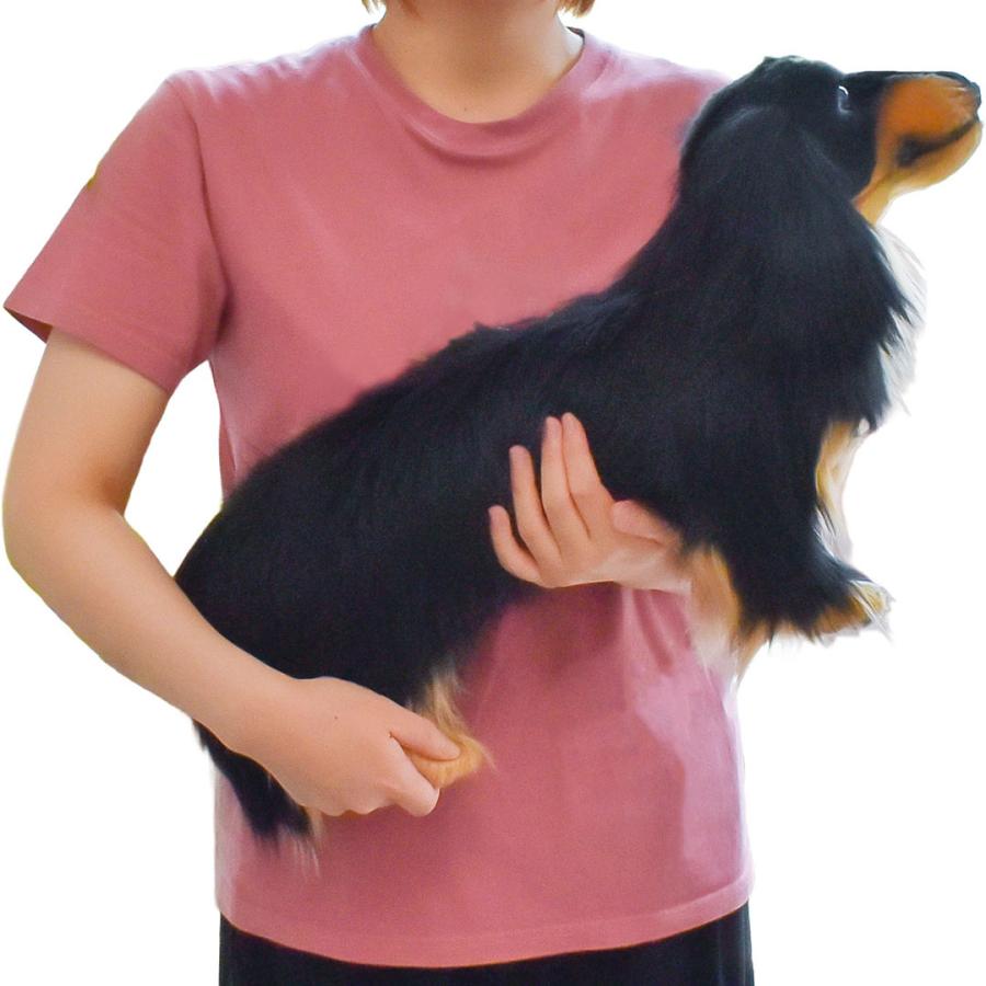 BH8511 ミニチュアダックスロング HANSA みにちゅあだっくすろんぐ ぬいぐるみ リアル 新作 | HANSA（ぬいぐるみ） | 06