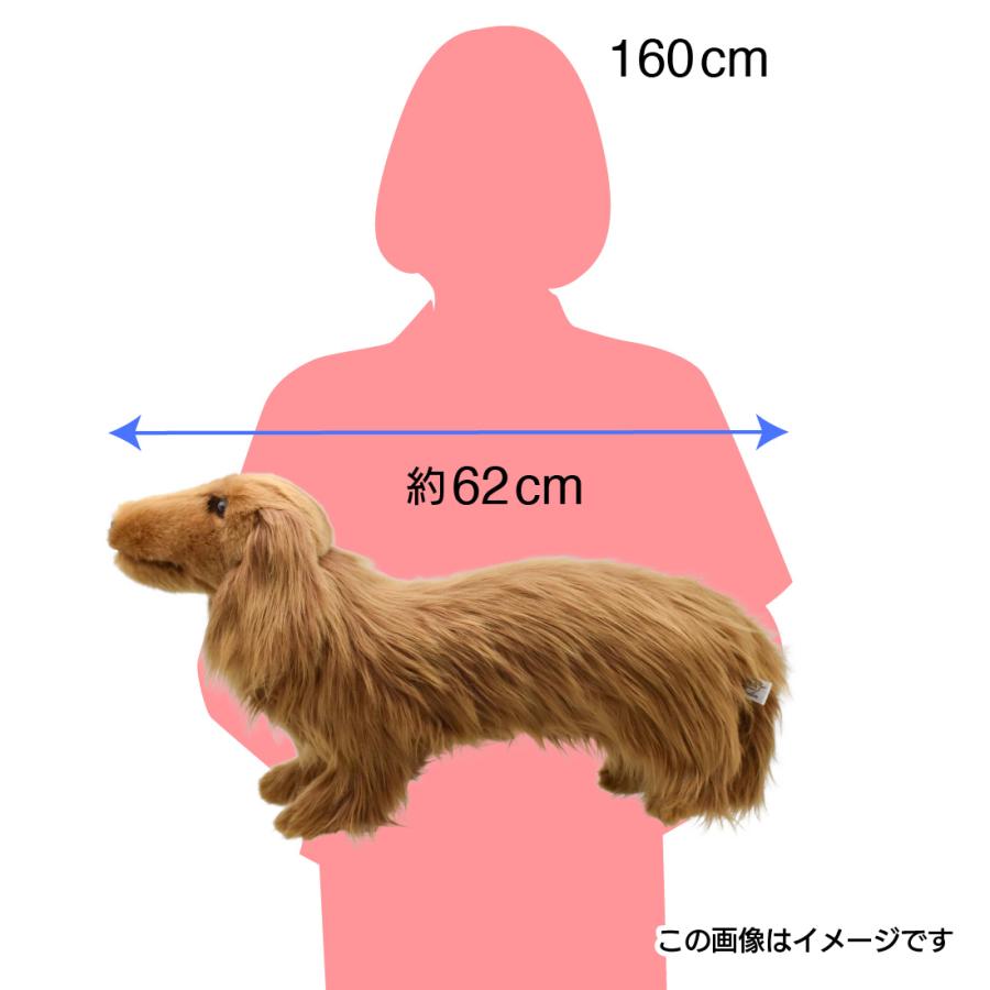 BH8512 ミニチュアダックスフンド ロングヘア ブラウン  HANSA　みにちゅあだっくすふんど ぬいぐるみ リアル 新作 | HANSA（ぬいぐるみ） | 06
