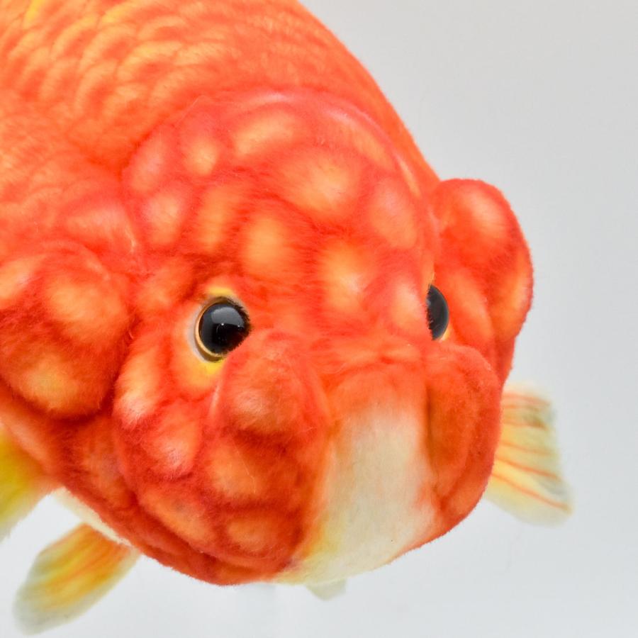 BH8515 ランチュウ  HANSA　蘭鋳  ぬいぐるみ リアル 新作 | HANSA（ぬいぐるみ） | 05