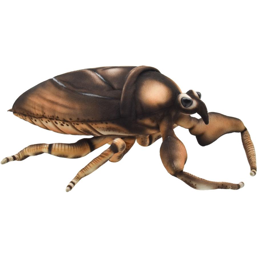 BH8523 タガメ  HANSA　たがめ ぬいぐるみ リアル 新作 | HANSA（ぬいぐるみ）