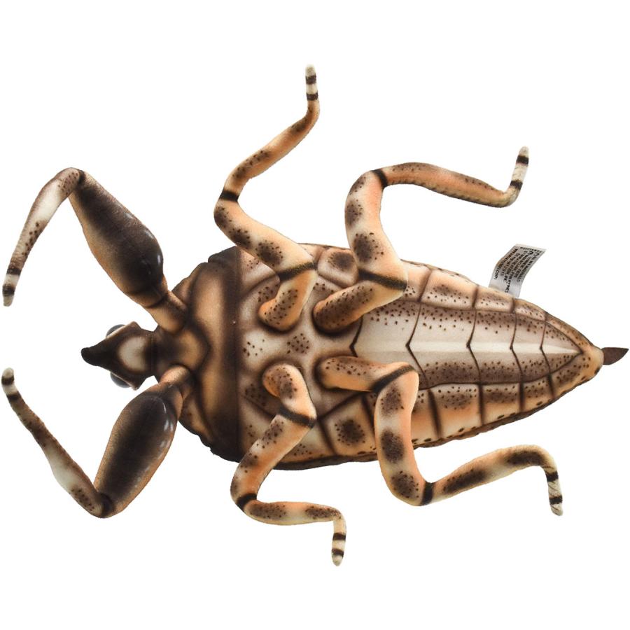 BH8523 タガメ  HANSA　たがめ ぬいぐるみ リアル 新作 | HANSA（ぬいぐるみ） | 03