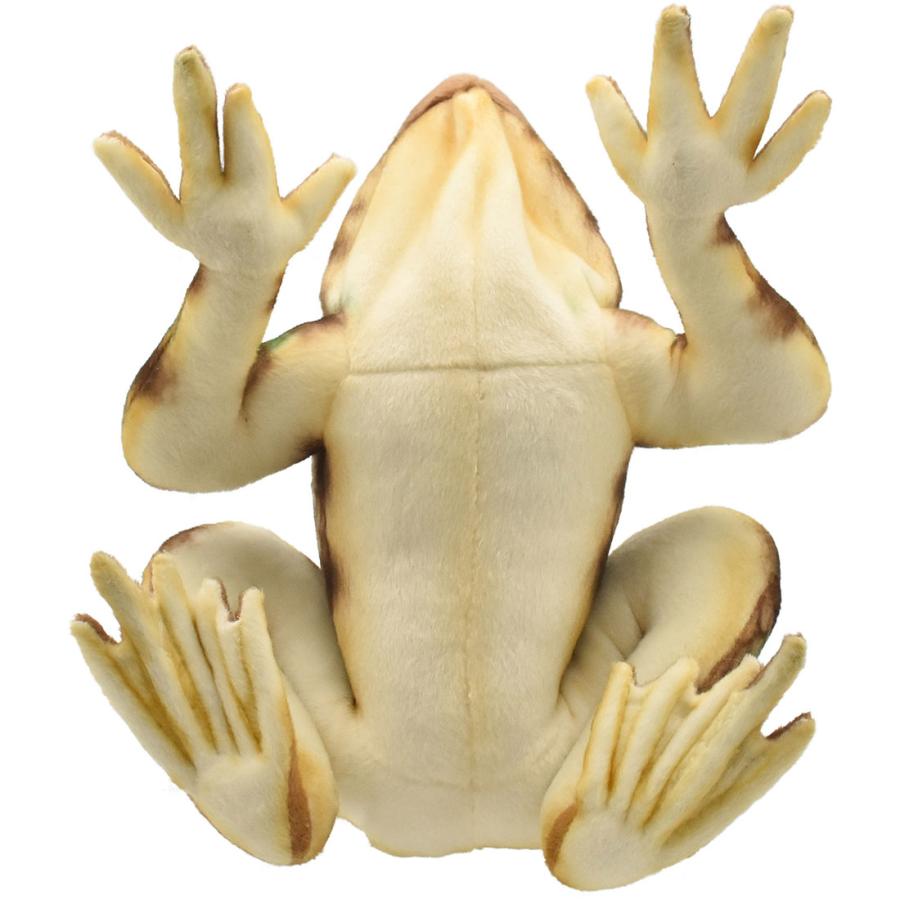 HANSA（ぬいぐるみ） BH8575 ゴライアスガエル HANSA ごらいあす