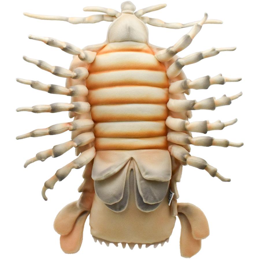 BH8577 ダイオウグソクムシ  HANSA　だいおうぐそくむし 大王具足虫 ぬいぐるみ リアル 新作 | HANSA（ぬいぐるみ） | 03