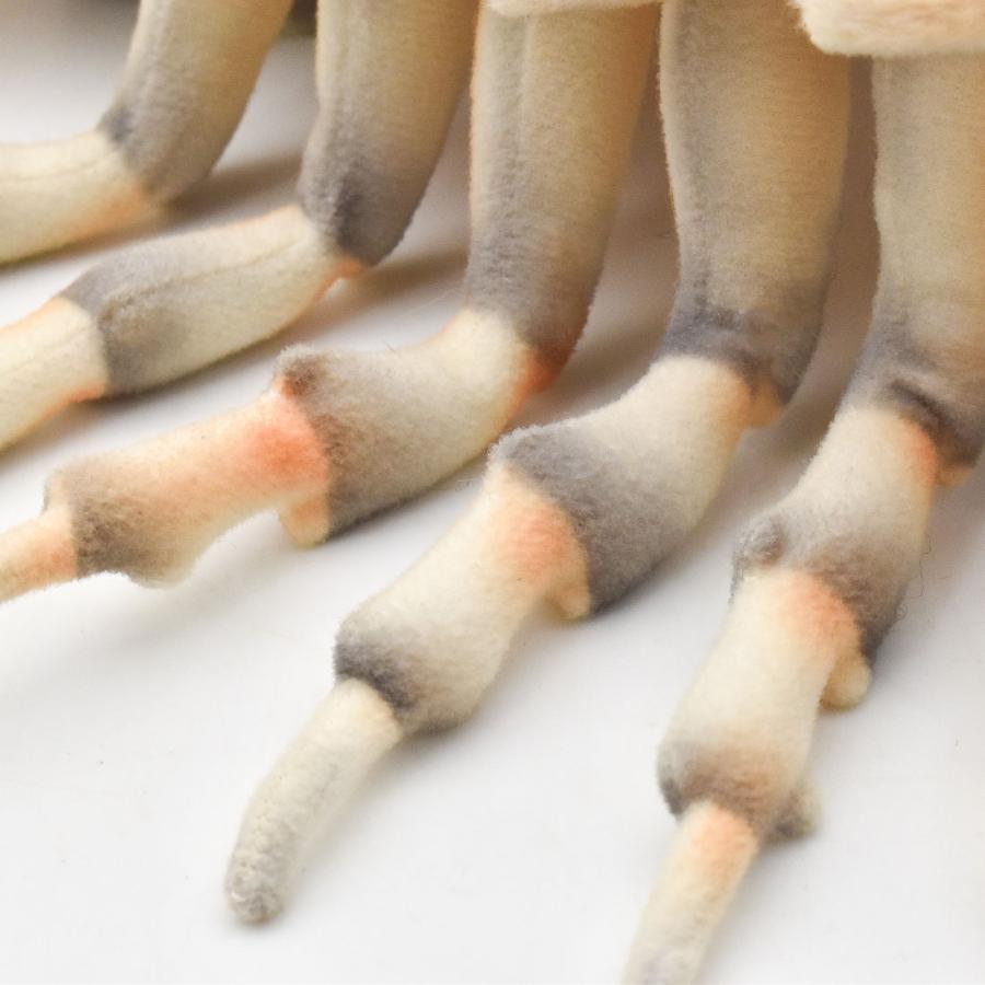 BH8577 ダイオウグソクムシ  HANSA　だいおうぐそくむし 大王具足虫 ぬいぐるみ リアル 新作 | HANSA（ぬいぐるみ） | 06