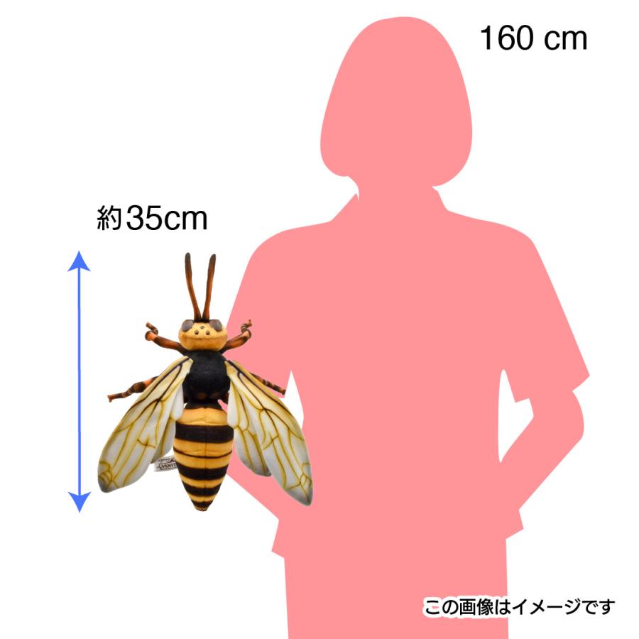 BH8581 スズメバチ  HANSA　すずめばち 雀蜂 ぬいぐるみ リアル 新作 | HANSA（ぬいぐるみ） | 07