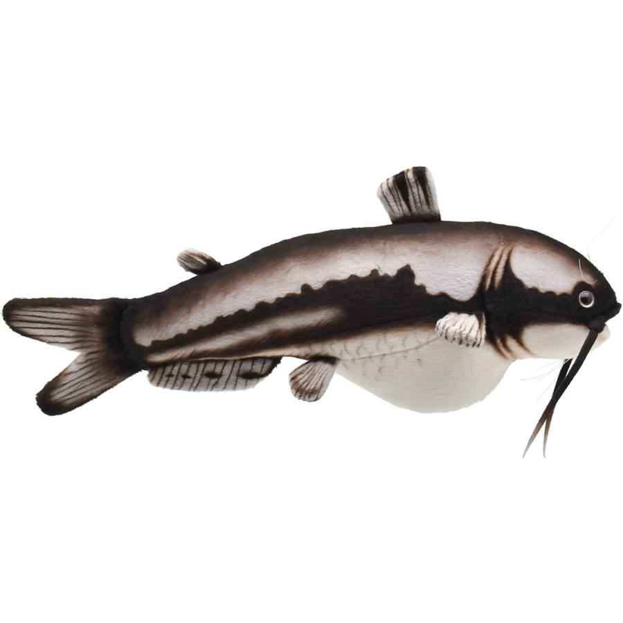 BH8582 ナマズ  HANSA　なまず 鯰 ぬいぐるみ リアル 新作 | HANSA（ぬいぐるみ） | 01