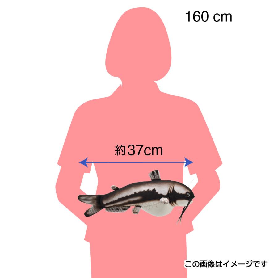 BH8582 ナマズ  HANSA　なまず 鯰 ぬいぐるみ リアル 新作 | HANSA（ぬいぐるみ） | 06
