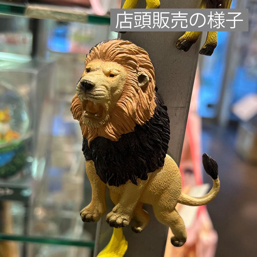Animal Friends（アニマルフレンズ） マグネット ライオン 動物 リアル