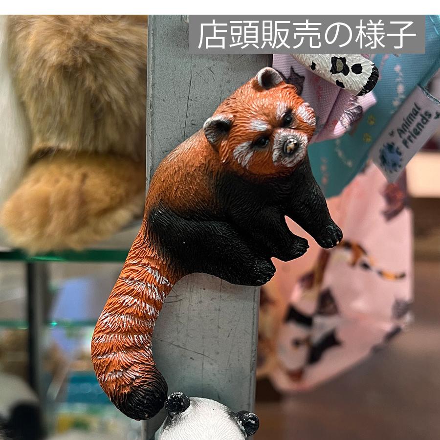 Animal Friends（アニマルフレンズ） マグネット レッサーパンダ 動物