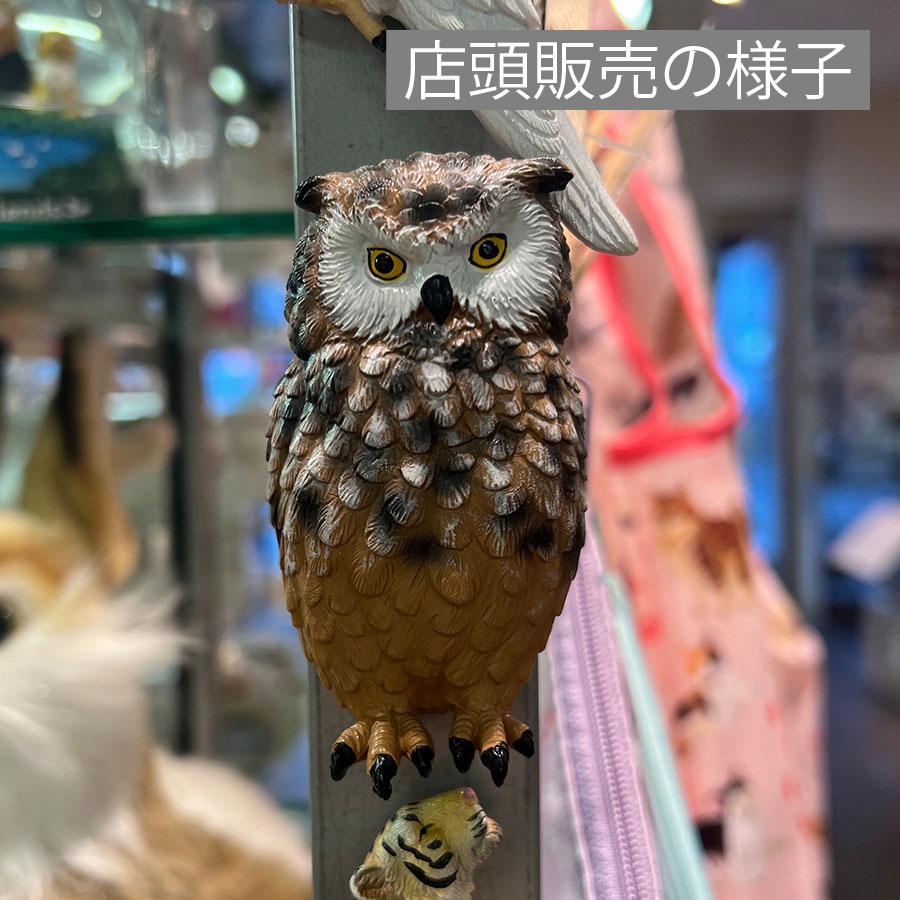 Animal Friends（アニマルフレンズ） マグネット フクロウ 動物 リアル