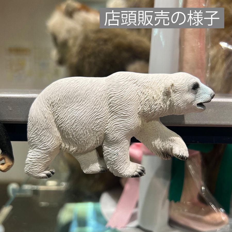 Animal Friends（アニマルフレンズ） マグネット シロクマ 動物 リアル