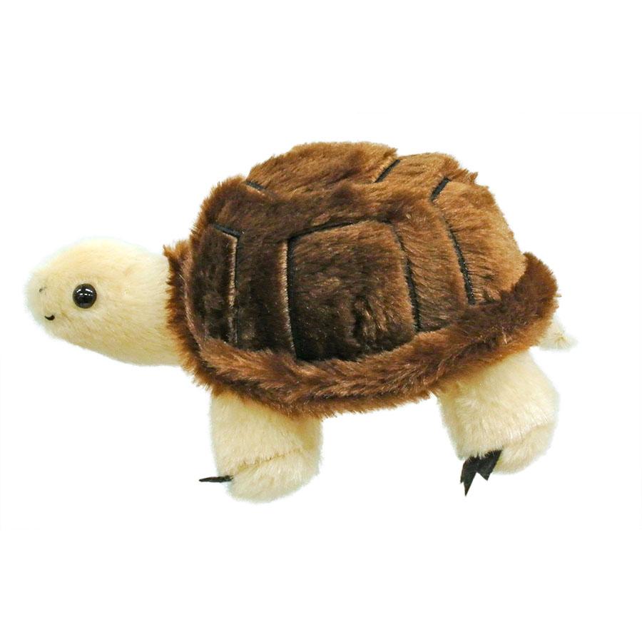 Animal Friends（アニマルフレンズ） ぬいぐるみ リクガメ お手頃 景品