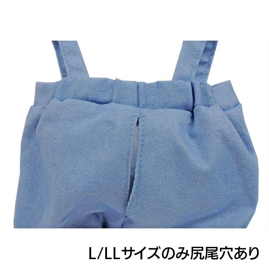 Bear Wear（ベアウェア） ぬいぐるみ 洋服 パンツ ブルー LL 春夏25