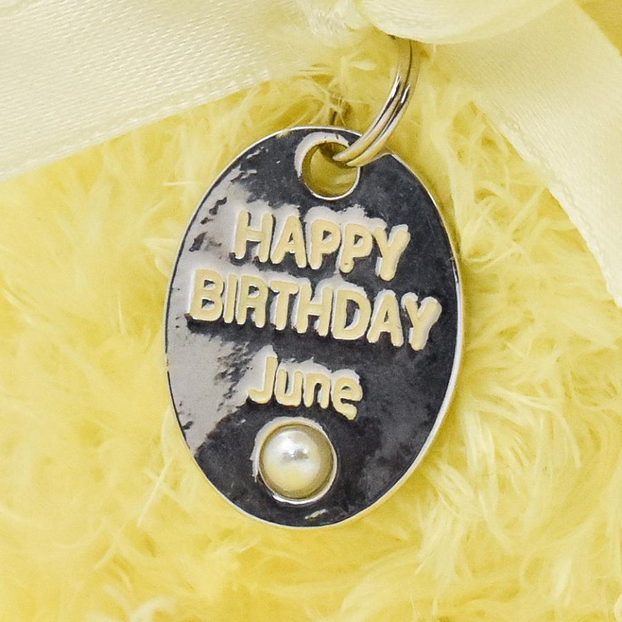 ペンダント バースデーベア 6月 誕生日 ぬいぐるみ 記念日 お祝い 雑貨 プレゼント ギフト Pbb06 Dear Bear 通販 Yahoo ショッピング
