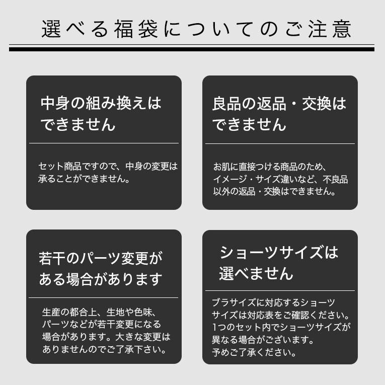 下着女性 上下セット ブラジャー ショーツセット 5点入り 福袋 レディース 下着 下着福袋 ブラ セット 大きいサイズ ブラセット 【返品不可】 fk001｜dearcologne｜18